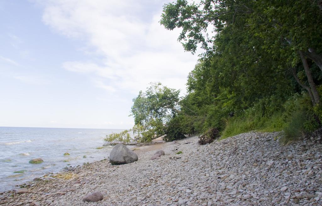 Camping Maennisalu 托伊拉 外观 照片