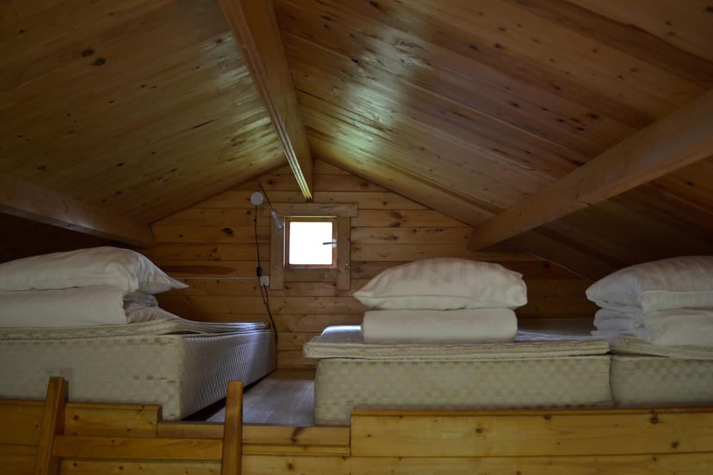 Camping Maennisalu 托伊拉 外观 照片